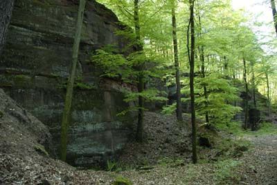Les photos Site de la commune de Rothbach